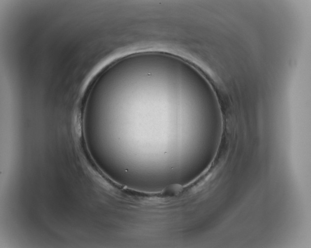 X0000112931510200908311307