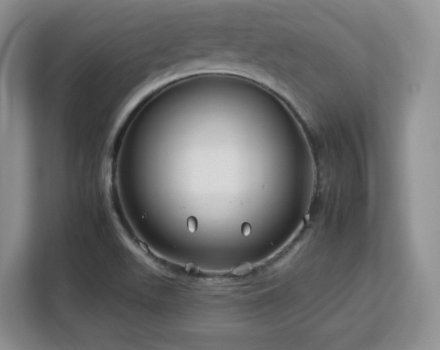 X0000112931511200908311307