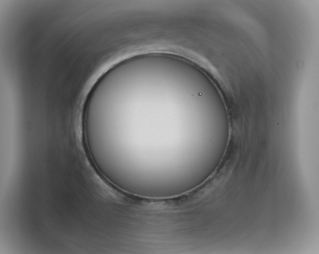 X0000112931512200908311307