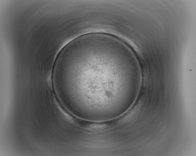 X0000112931513200908311307