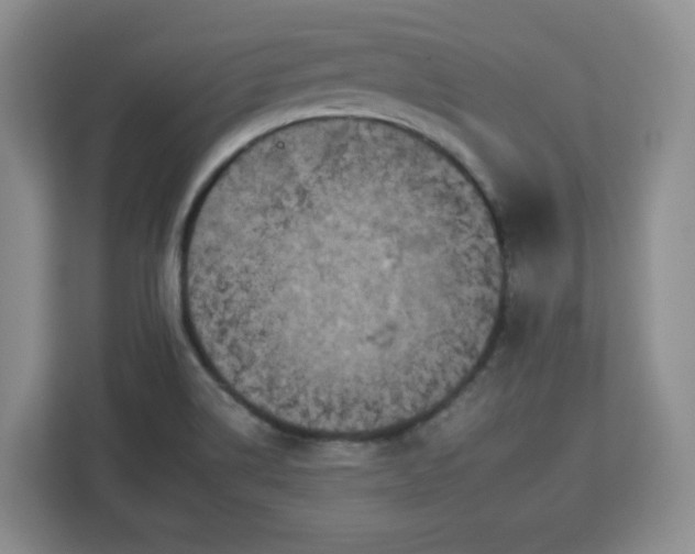 X0000112931514200908311307