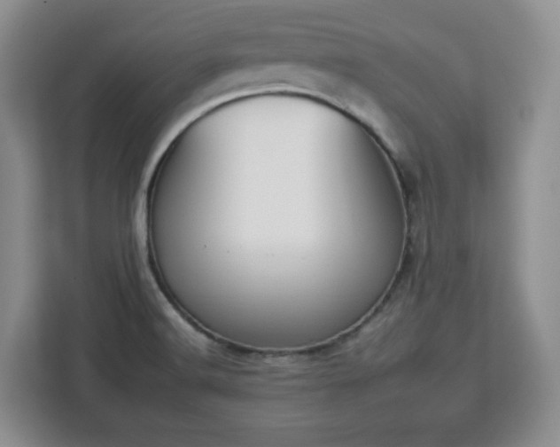 X0000112931516200908311307