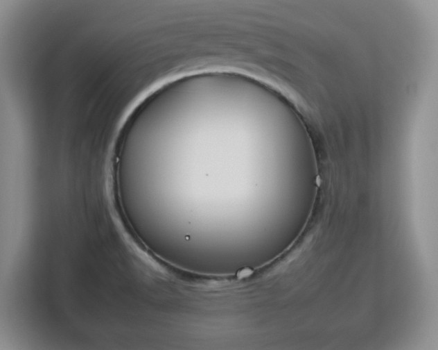 X0000112931518200908311307