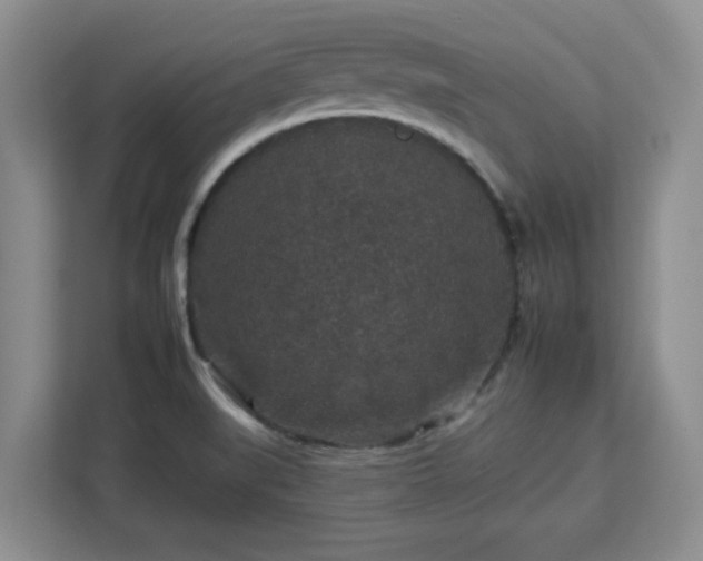 X0000112931519200908311307