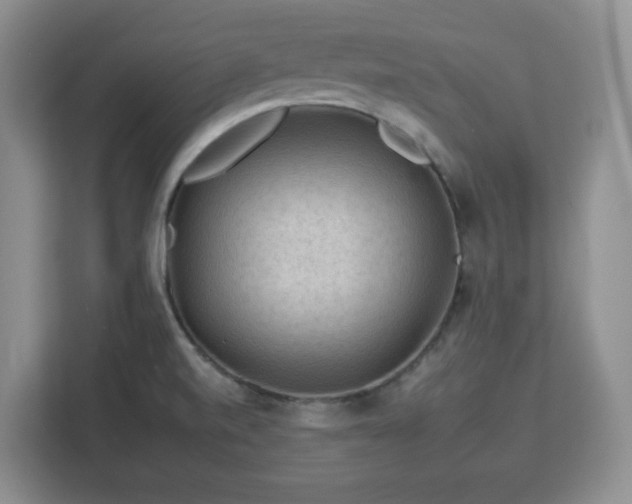 X0000112931520200908311307