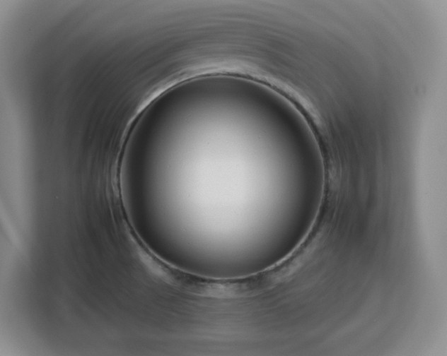 X0000112931521200908311307