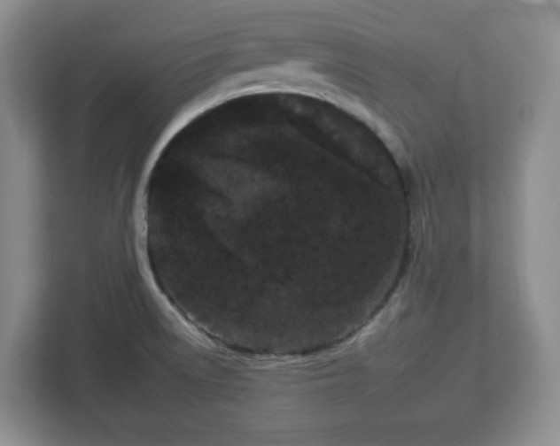 X0000112931522200908311307