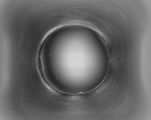 X0000112931523200908311307