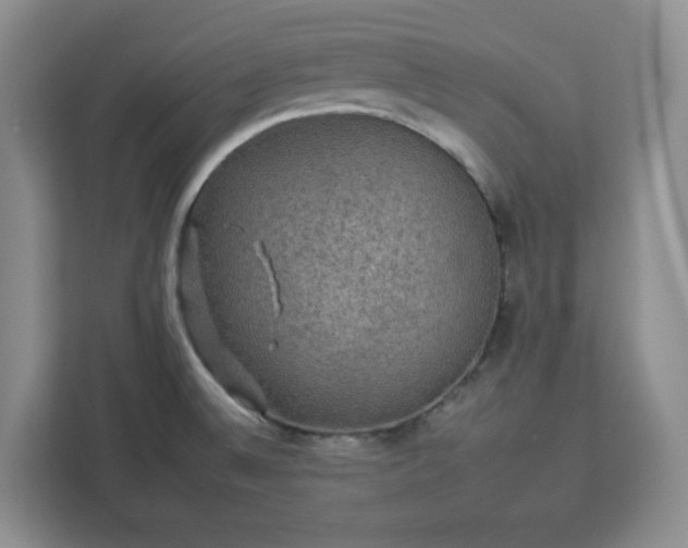 X0000112931524200908311307