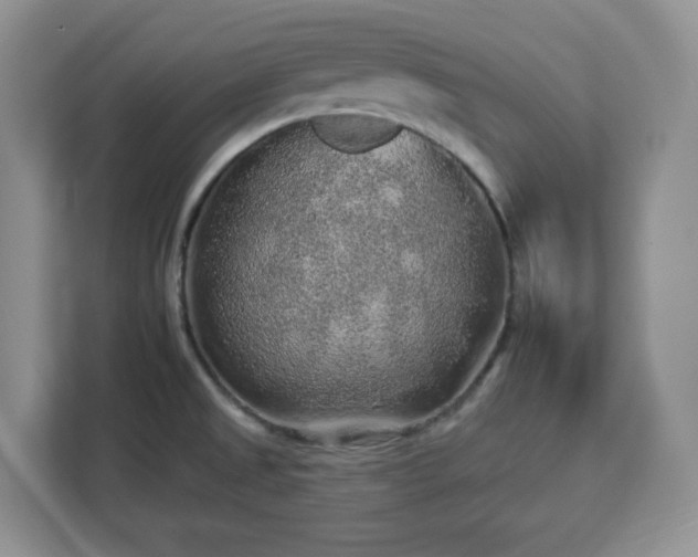 X0000112931525200908311307