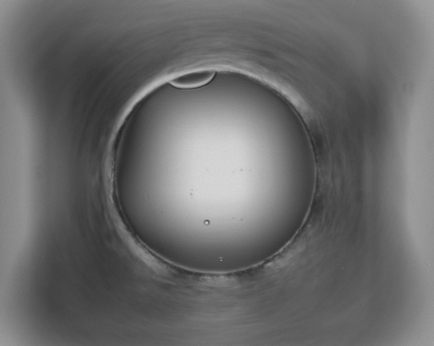 X0000112931526200908311307