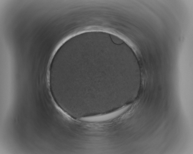 X0000112931527200908311307