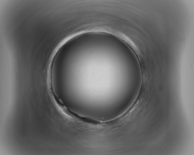 X0000112931528200908311307