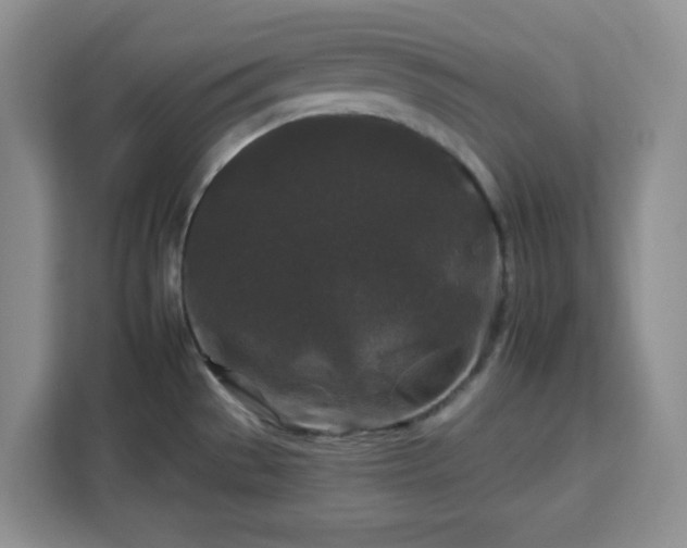 X0000112931529200908311307