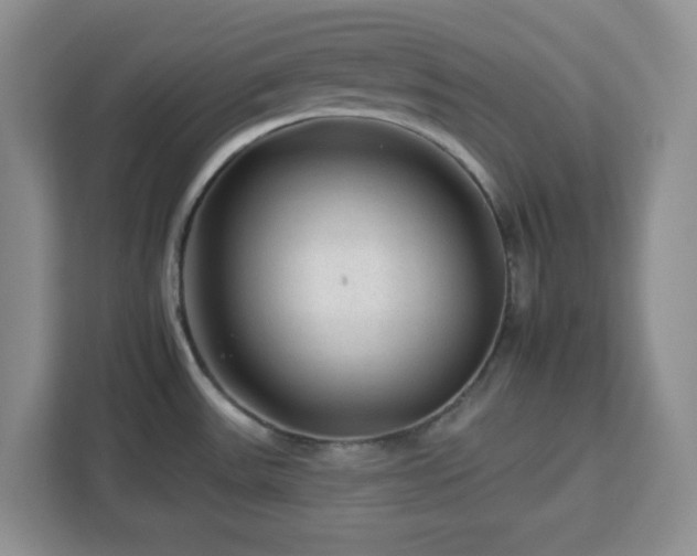 X0000112931531200908311307