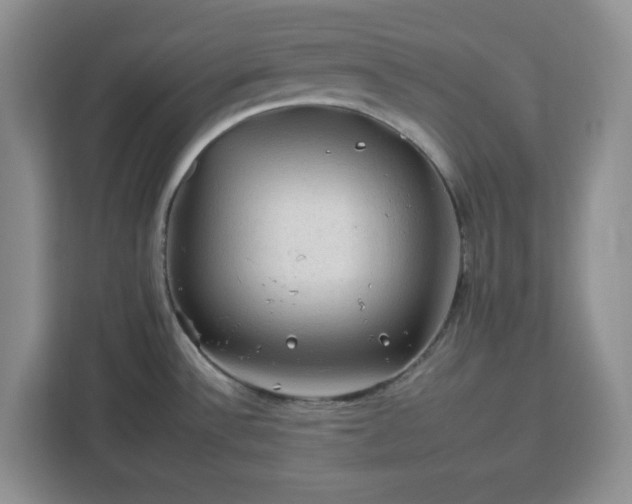 X0000112931532200908311307