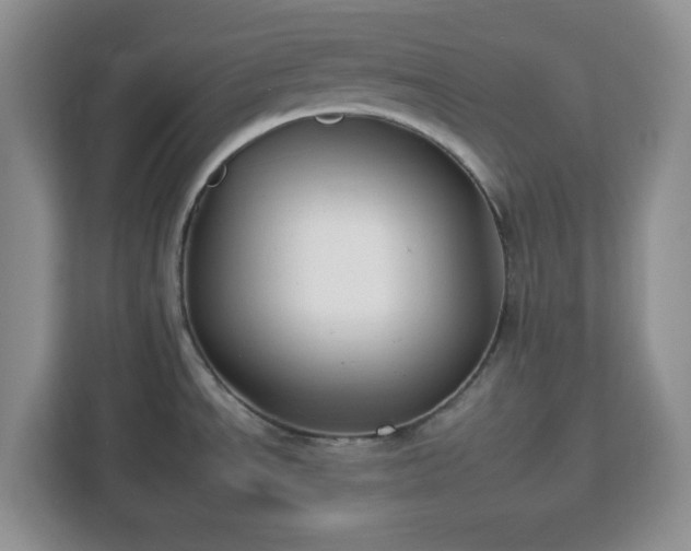 X0000112931534200908311307