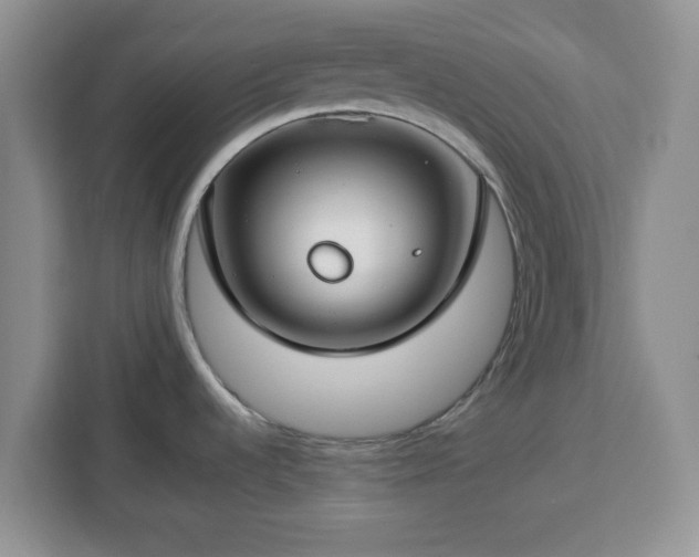 X0000112931536200908311307