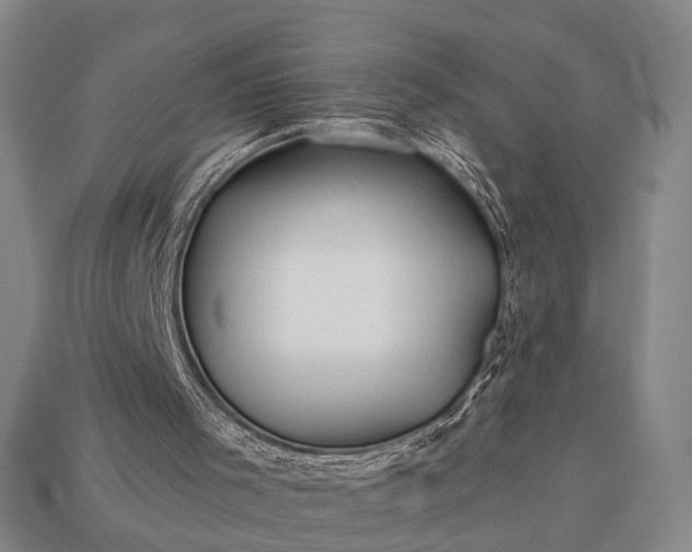 X0000112930001200909071043