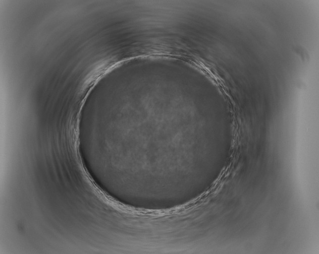 X0000112930002200909071043