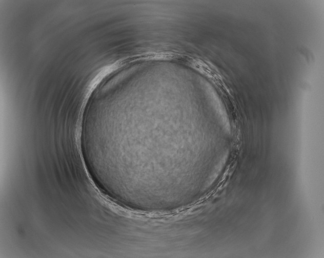 X0000112930003200909071043