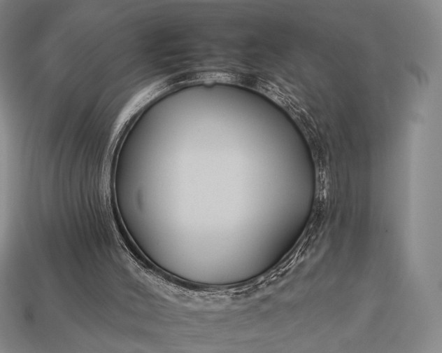 X0000112930004200909071043