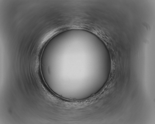 X0000112930005200909071043