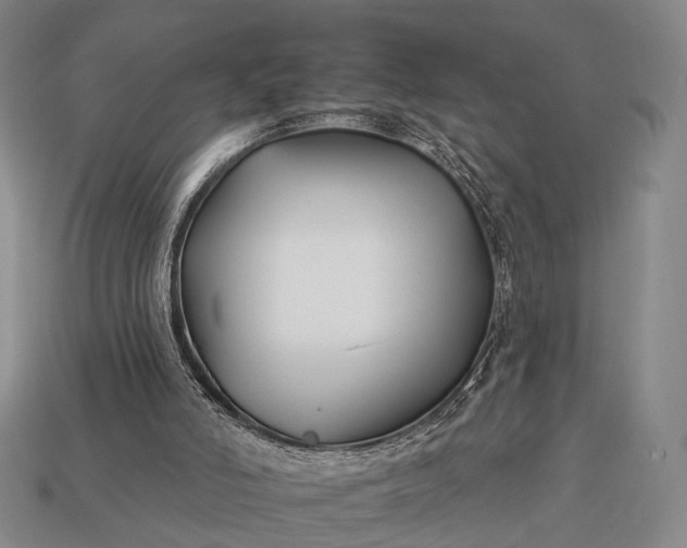 X0000112930006200909071043