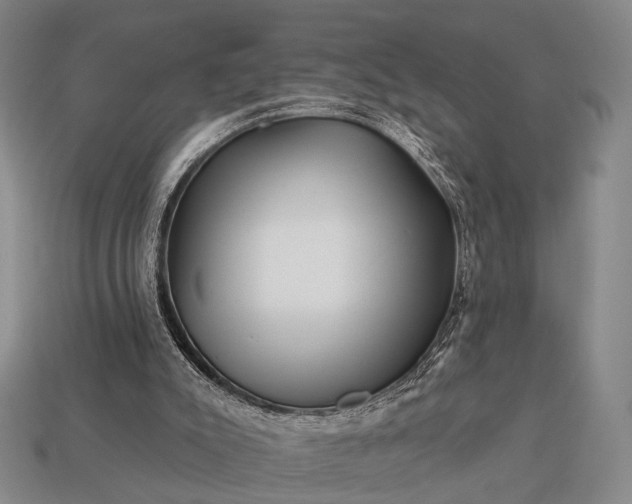 X0000112930007200909071043