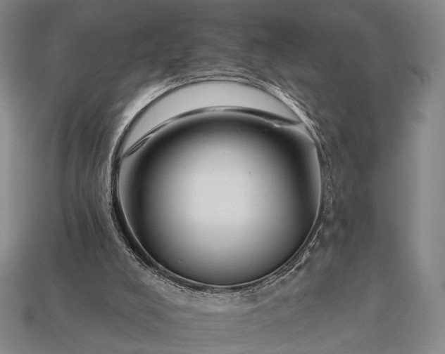 X0000112930008200909071043