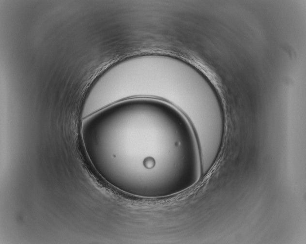 X0000112930009200909071043