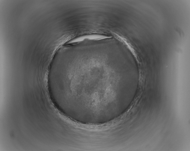 X0000112930010200909071043