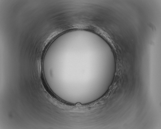 X0000112930011200909071043