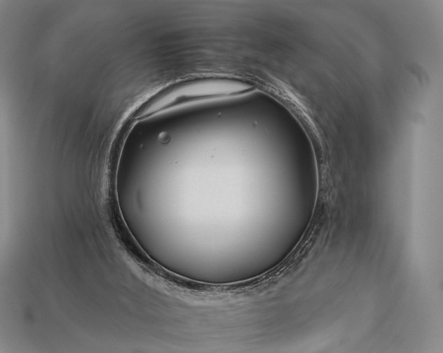 X0000112930012200909071043