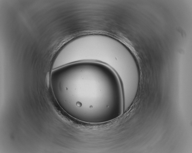 X0000112930013200909071043