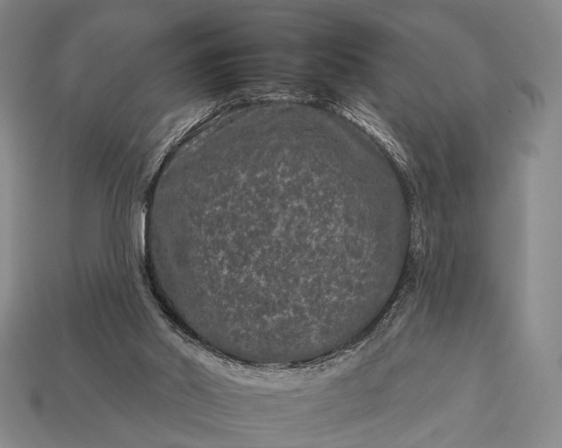 X0000112930014200909071043