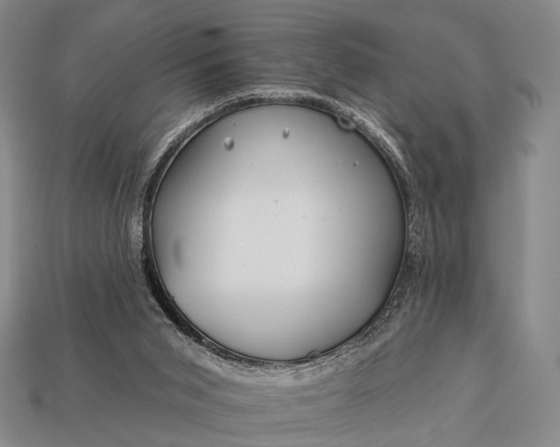 X0000112930015200909071043