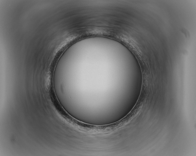 X0000112930016200909071043