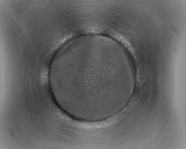 X0000112930017200909071043