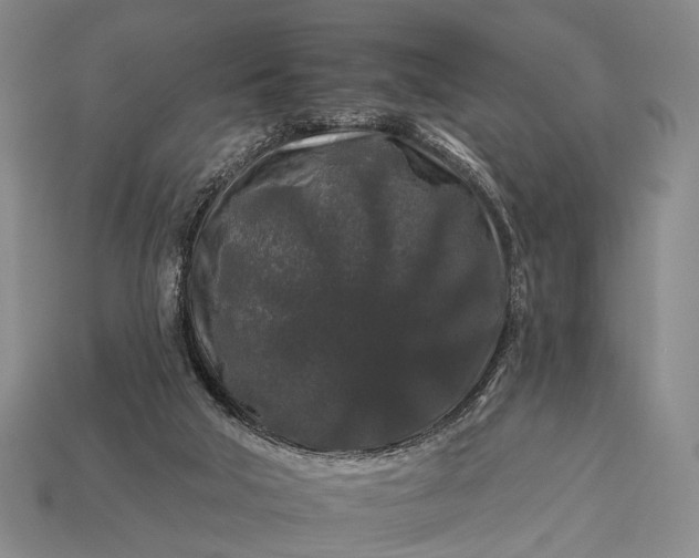 X0000112930018200909071043