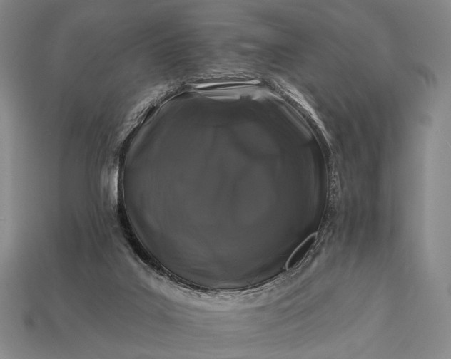 X0000112930019200909071043