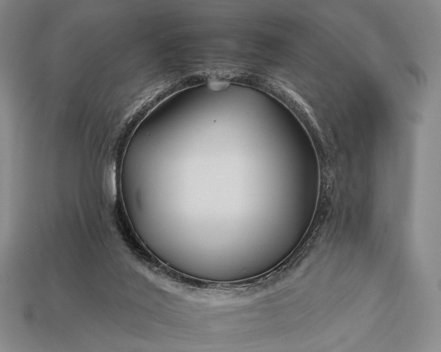 X0000112930020200909071043