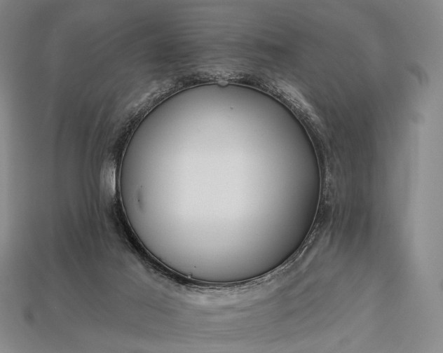 X0000112930021200909071043