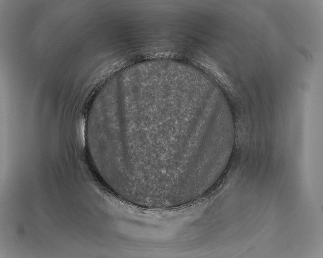 X0000112930022200909071043