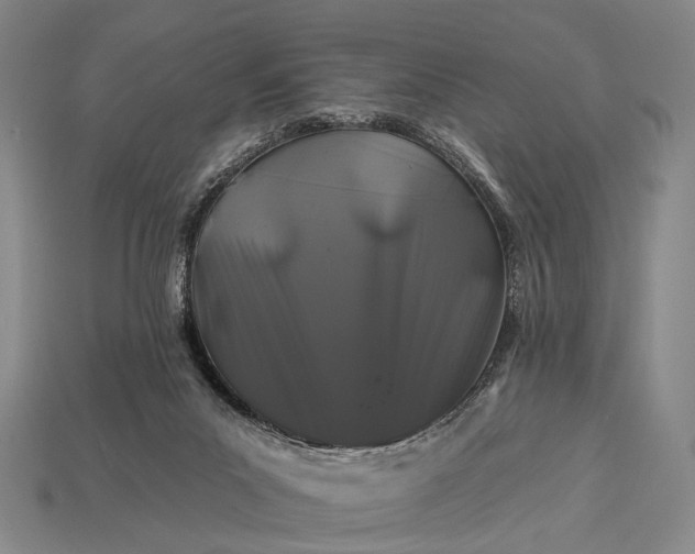 X0000112930023200909071043