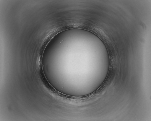 X0000112930024200909071043