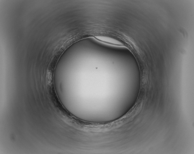 X0000112930025200909071043