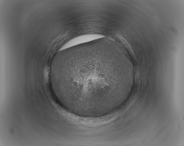 X0000112930026200909071043