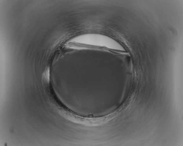 X0000112930027200909071043