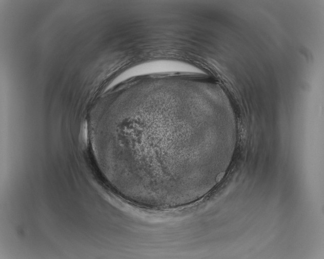 X0000112930028200909071043